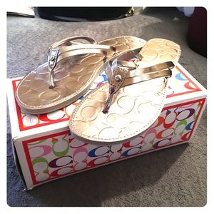 Coach Juney Metallic